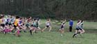 Start of the under-15 girls Northern Cross Country Champs, Knowsley Safari Park. Photo: David T. Hewitson/Sports for All Pics